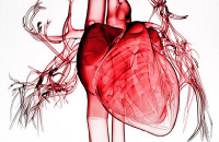 Хирургия сердечной недостаточности
