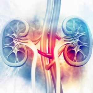 Urological Center of the Clinic of Navarra: treatment of diseases of the kidneys, genitourinary system
