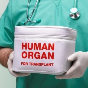 Органды трансплантациялау