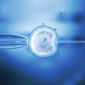 In vitro fertilization technologies: IVF