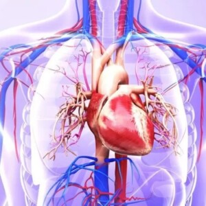 Лікування ішемічної хвороби серця в Ізраїлі