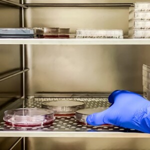 диагностика рака в италии