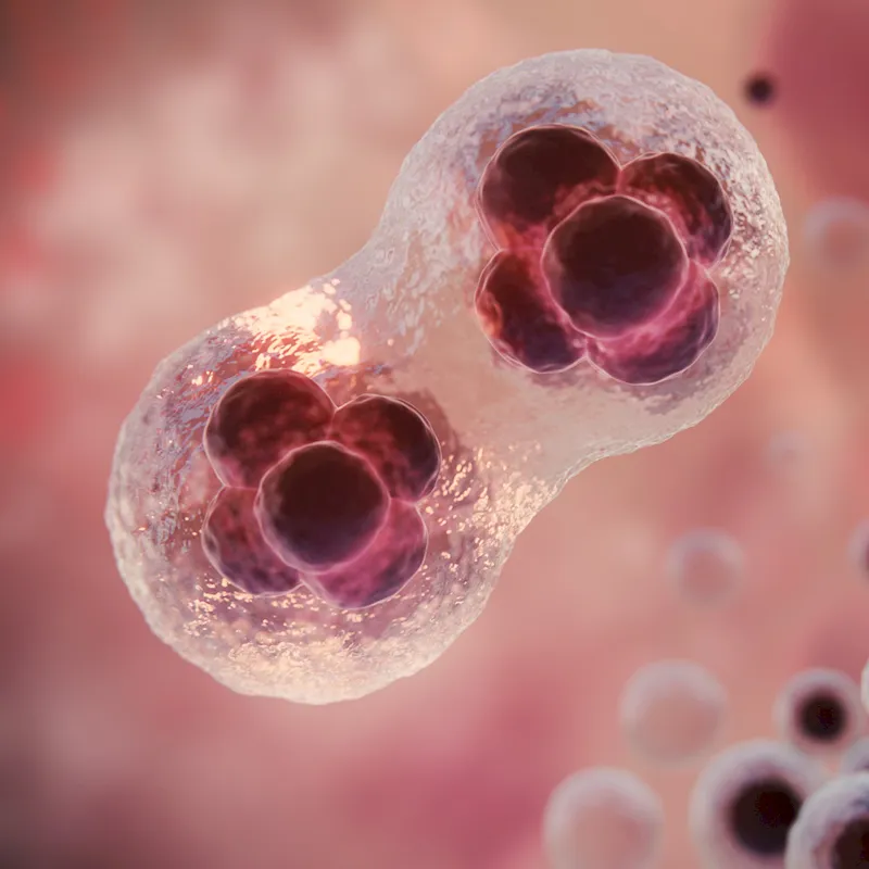 Лечение стволовыми клетками в Турции: все что нужно знать об этом методе терапии