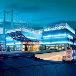 терапия аутизма стволовыми клетками