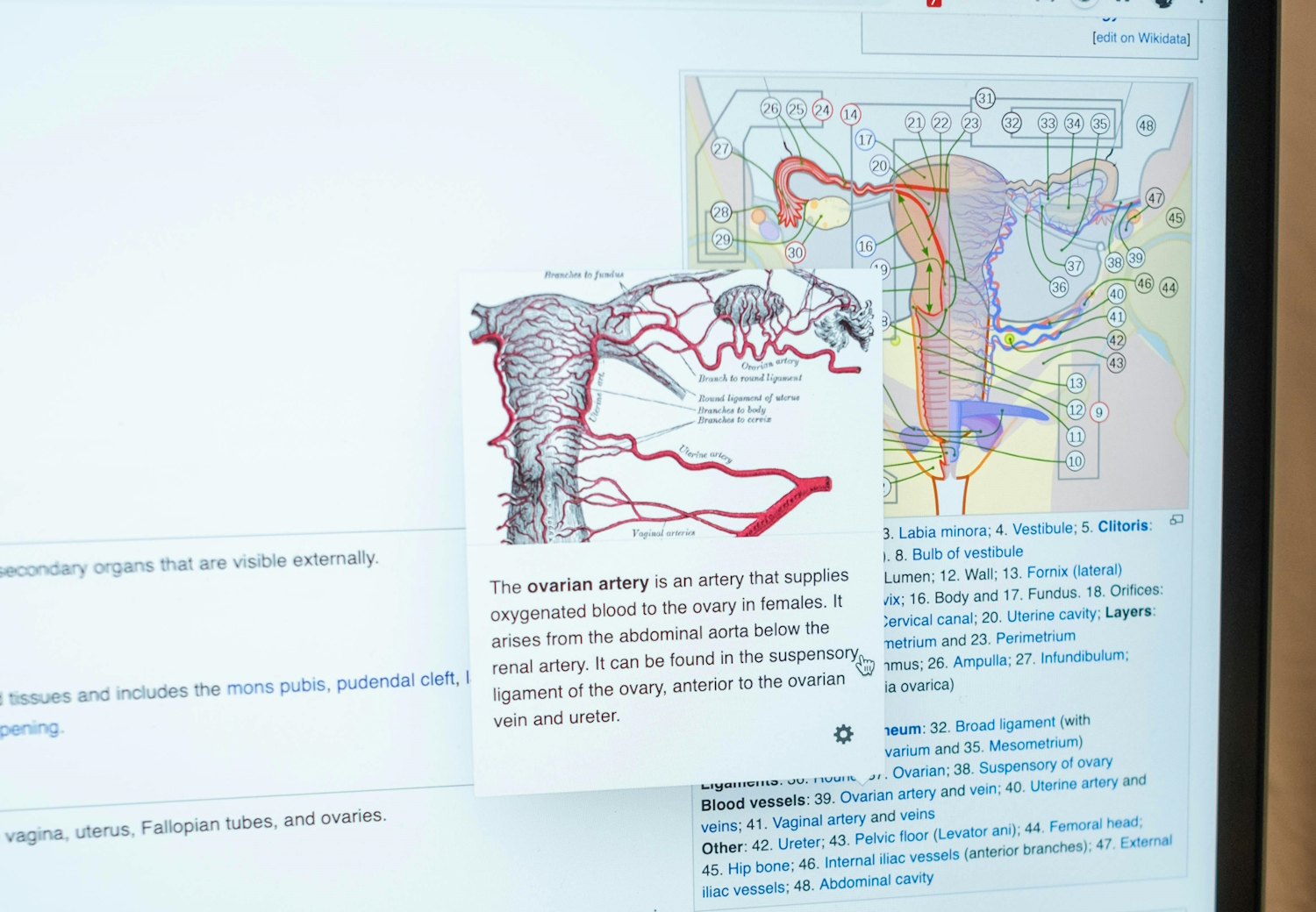 Top Doctors and Hospitals for Uterus Cancer Treatment in India