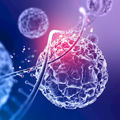 TOP 6 Best Clinics in the World for CAR-T Therapy